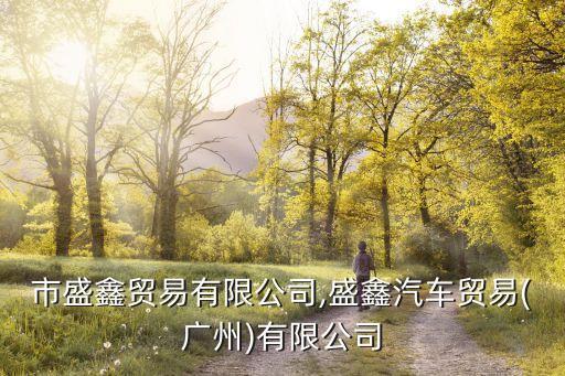 深圳市盛鑫貿易有限公司,盛鑫汽車貿易(廣州)有限公司