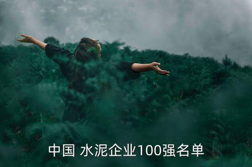 中國(guó) 水泥企業(yè)100強(qiáng)名單