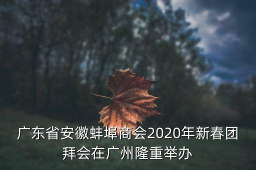 廣東省安徽蚌埠商會(huì)2020年新春團(tuán)拜會(huì)在廣州隆重舉辦