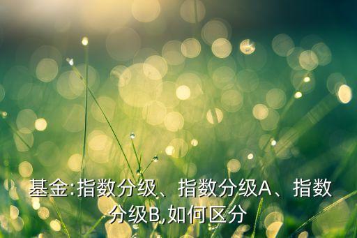  基金:指數(shù)分級、指數(shù)分級A、指數(shù)分級B,如何區(qū)分