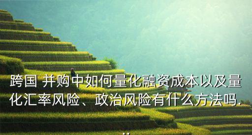 跨國 并購中如何量化融資成本以及量化匯率風(fēng)險、政治風(fēng)險有什么方法嗎...