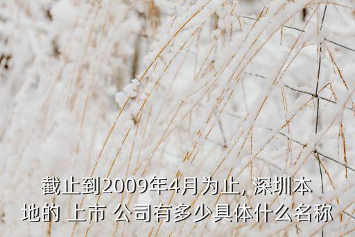 截止到2009年4月為止, 深圳本地的 上市 公司有多少具體什么名稱(chēng)