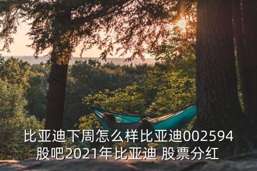 比亞迪下周怎么樣比亞迪002594股吧2021年比亞迪 股票分紅