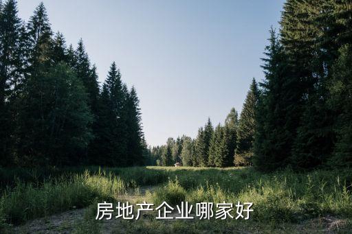 平安不動產(chǎn)上海,上海平安不動產(chǎn)有限公司