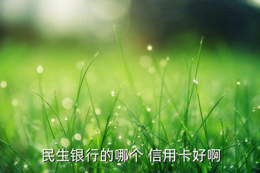  民生銀行的哪個(gè) 信用卡好啊