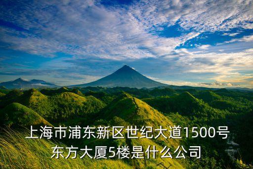  上海市浦東新區(qū)世紀大道1500號東方大廈5樓是什么公司