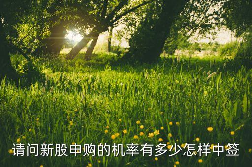 請(qǐng)問新股申購的機(jī)率有多少怎樣中簽