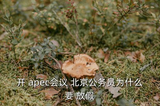 開 apec會(huì)議 北京公務(wù)員為什么要 放假