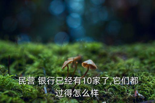  民營 銀行已經(jīng)有10家了,它們都過得怎么樣