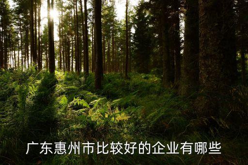 華陽(yáng)微電子有限公司,格科微電子(上海)有限公司