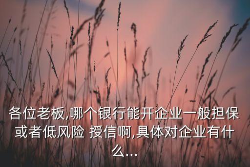 各位老板,哪個銀行能開企業(yè)一般擔?；蛘叩惋L(fēng)險 授信啊,具體對企業(yè)有什么...