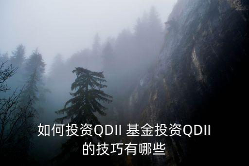 如何投資QDII 基金投資QDII的技巧有哪些