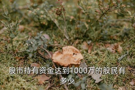 股市持有資金達(dá)到1000萬(wàn)的股民有多少