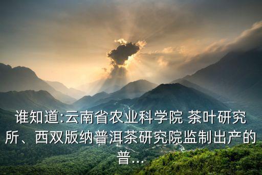 誰知道:云南省農業(yè)科學院 茶葉研究所、西雙版納普洱茶研究院監(jiān)制出產的普...