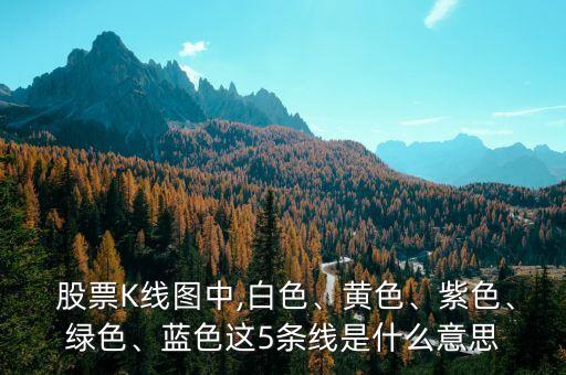  股票K線圖中,白色、黃色、紫色、綠色、藍(lán)色這5條線是什么意思