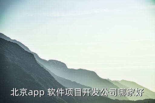 北京app 軟件項目開發(fā)公司哪家好