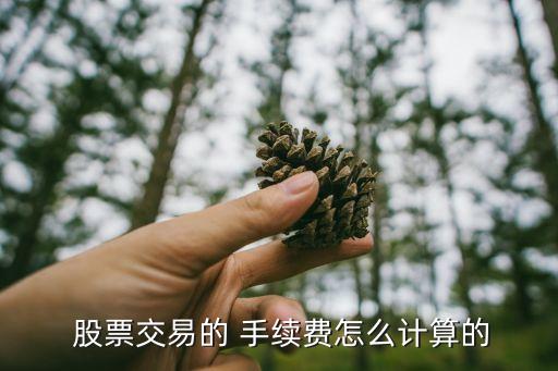  股票交易的 手續(xù)費怎么計算的