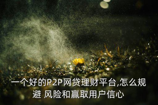 p2p投資風(fēng)險的防范,簡述投資風(fēng)險的產(chǎn)生與防范