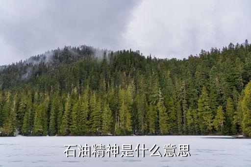  石油精神是什么意思