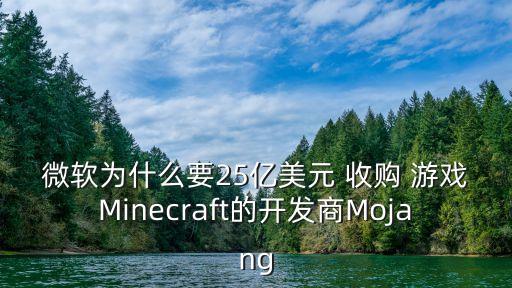 微軟為什么要25億美元 收購 游戲Minecraft的開發(fā)商Mojang