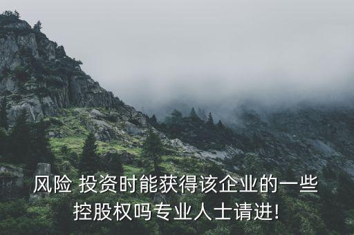 風(fēng)險(xiǎn)投資控股,中國風(fēng)險(xiǎn)投資有限公司