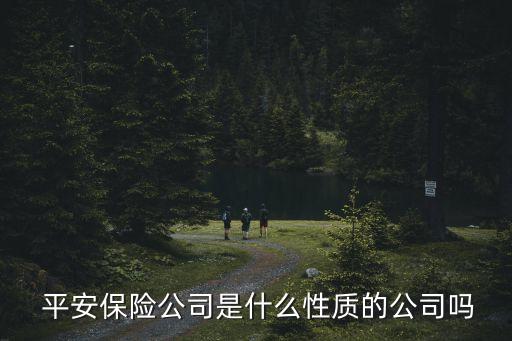  平安保險公司是什么性質(zhì)的公司嗎