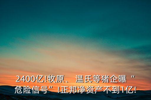 2400億!牧原、 溫氏等豬企曝“危險(xiǎn)信號(hào)”!正邦凈資產(chǎn)不到1億!