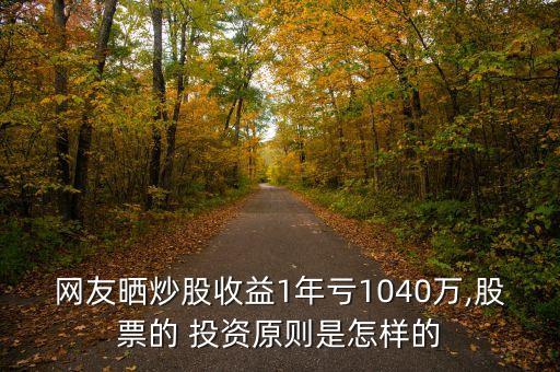 網(wǎng)友曬炒股收益1年虧1040萬(wàn),股票的 投資原則是怎樣的