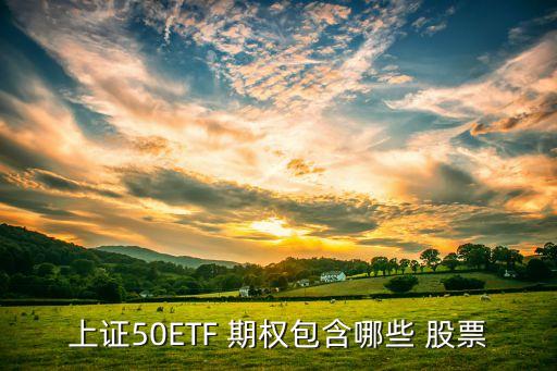 上證50ETF 期權(quán)包含哪些 股票