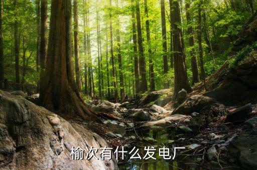 山西瑞浦熱電有限公司,山西福潤生物質能熱電有限公司