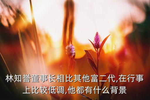 林知譽(yù)董事長(zhǎng)相比其他富二代,在行事上比較低調(diào),他都有什么背景