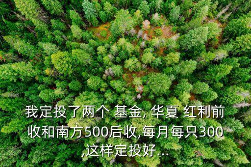 我定投了兩個 基金, 華夏 紅利前收和南方500后收,每月每只300,這樣定投好...