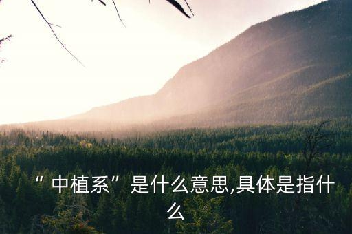 “ 中植系”是什么意思,具體是指什么