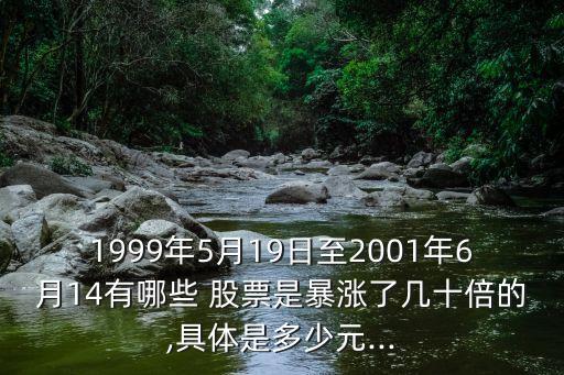 1999年5月19日至2001年6月14有哪些 股票是暴漲了幾十倍的,具體是多少元...