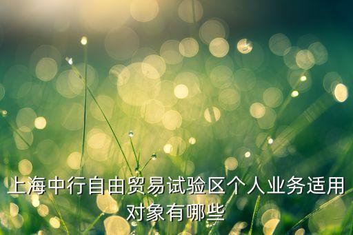 自貿區(qū)中國銀行,中國銀行自貿區(qū)支行電話