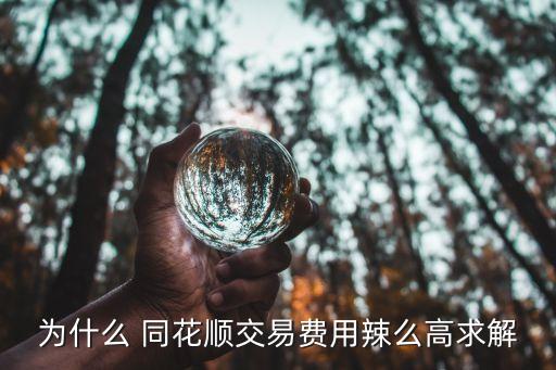 為什么 同花順交易費(fèi)用辣么高求解