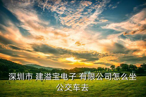 建溢實(shí)業(yè)有限公司,衡陽(yáng)市建衡實(shí)業(yè)有限公司