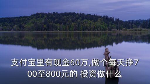 支付寶里有現(xiàn)金60萬,做個(gè)每天掙700至800元的 投資做什么