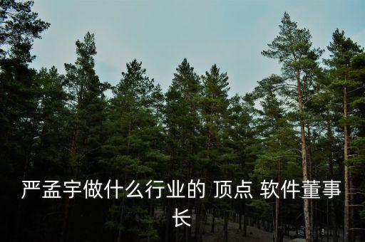 嚴(yán)孟宇做什么行業(yè)的 頂點(diǎn) 軟件董事長(zhǎng)