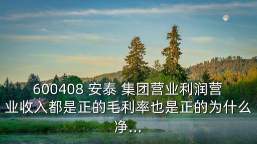 600408 安泰 集團(tuán)營業(yè)利潤營業(yè)收入都是正的毛利率也是正的為什么凈...