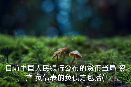 目前中國人民銀行公布的貨幣當局 資產 負債表的負債方包括(