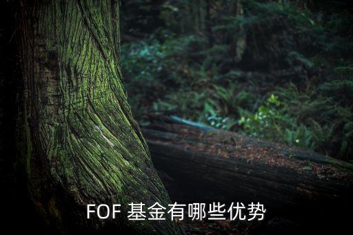 FOF 基金有哪些優(yōu)勢