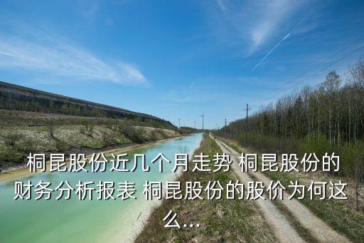  桐昆股份近幾個月走勢 桐昆股份的財務分析報表 桐昆股份的股價為何這么...