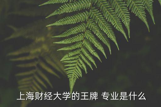 上海財大有哪些專業(yè)