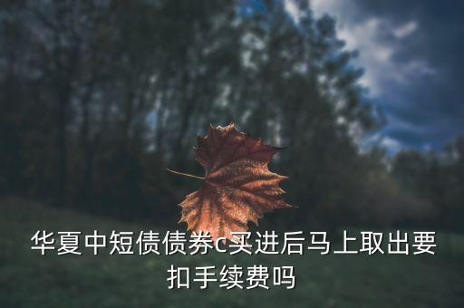 華夏后端收費基金,基金銷售的后端收費模式