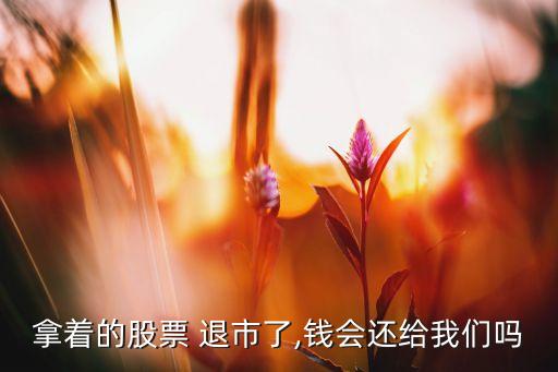 拿著的股票 退市了,錢會(huì)還給我們嗎