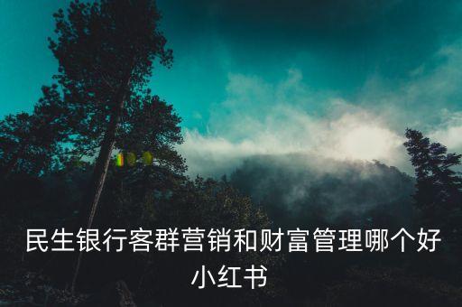  民生銀行客群營(yíng)銷和財(cái)富管理哪個(gè)好小紅書