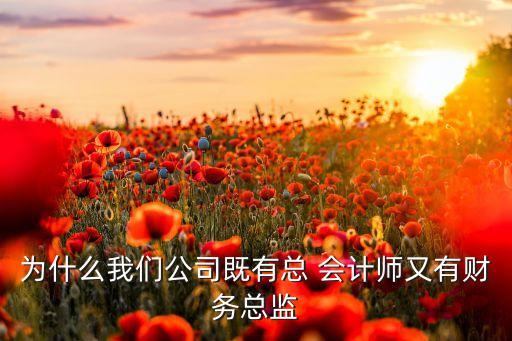 為什么我們公司既有總 會計師又有財務總監(jiān)