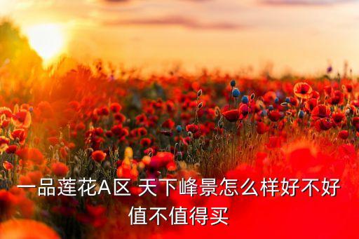 一品蓮花A區(qū) 天下峰景怎么樣好不好值不值得買(mǎi)