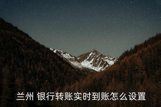  蘭州 銀行轉(zhuǎn)賬實(shí)時(shí)到賬怎么設(shè)置